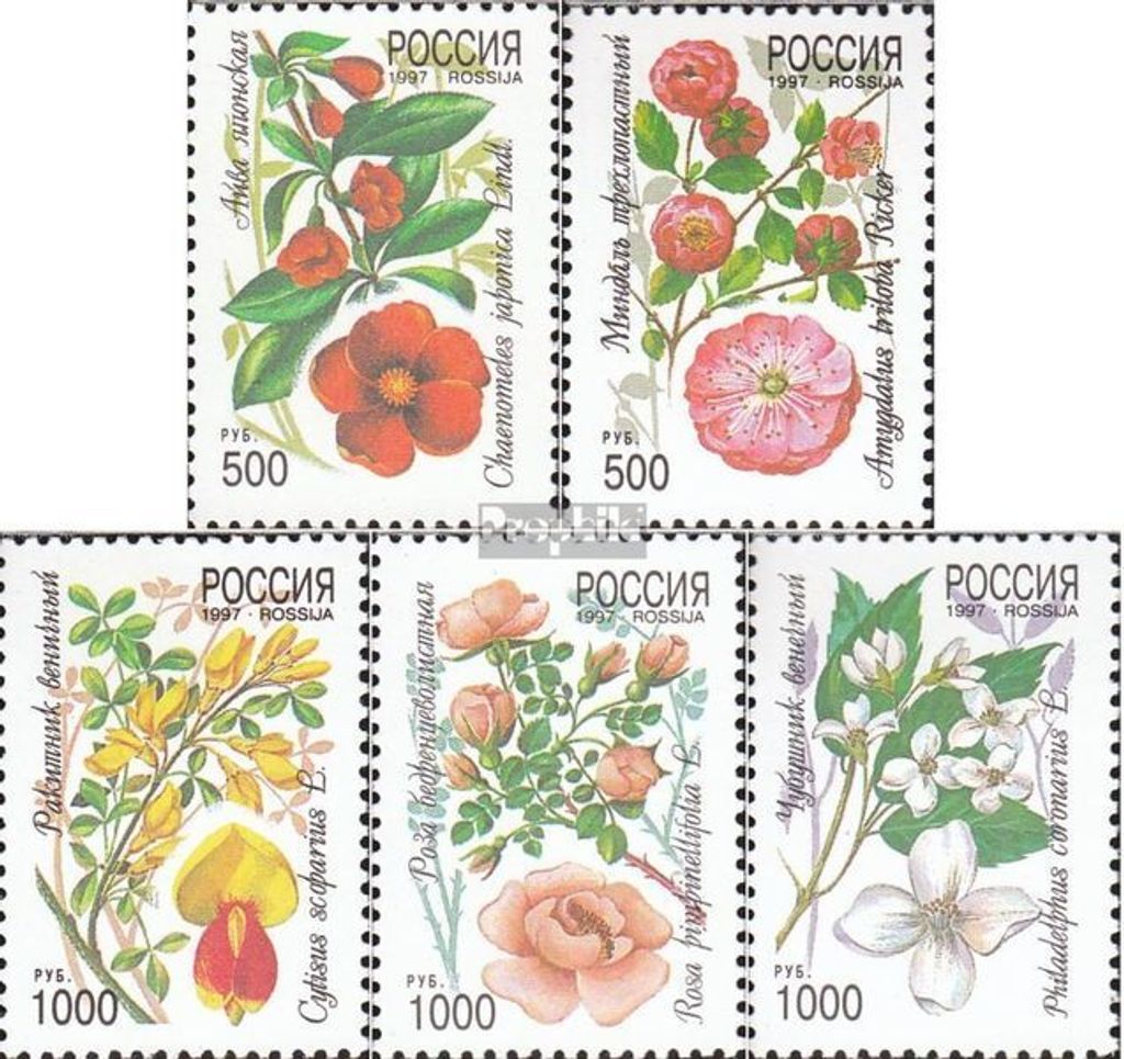 Briefmarken Russland 1997 Mi 554-558 (kompl.Ausg.) postfrisch Ziersträucher