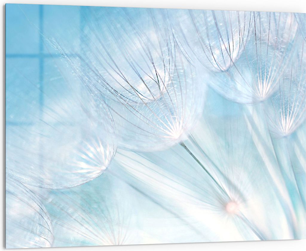 DEQORI Küchenrückwand Glas 80x60 cm 'Blühender Löwenzahn' Spritzschutz Bad Rückwand