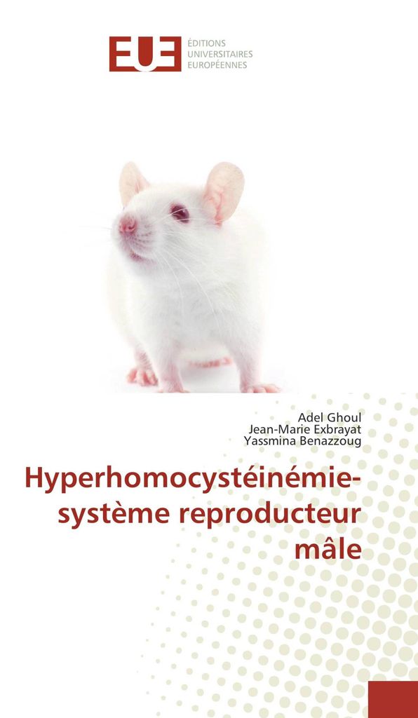 Hyperhomocystéinémie-système reproducteur mâle