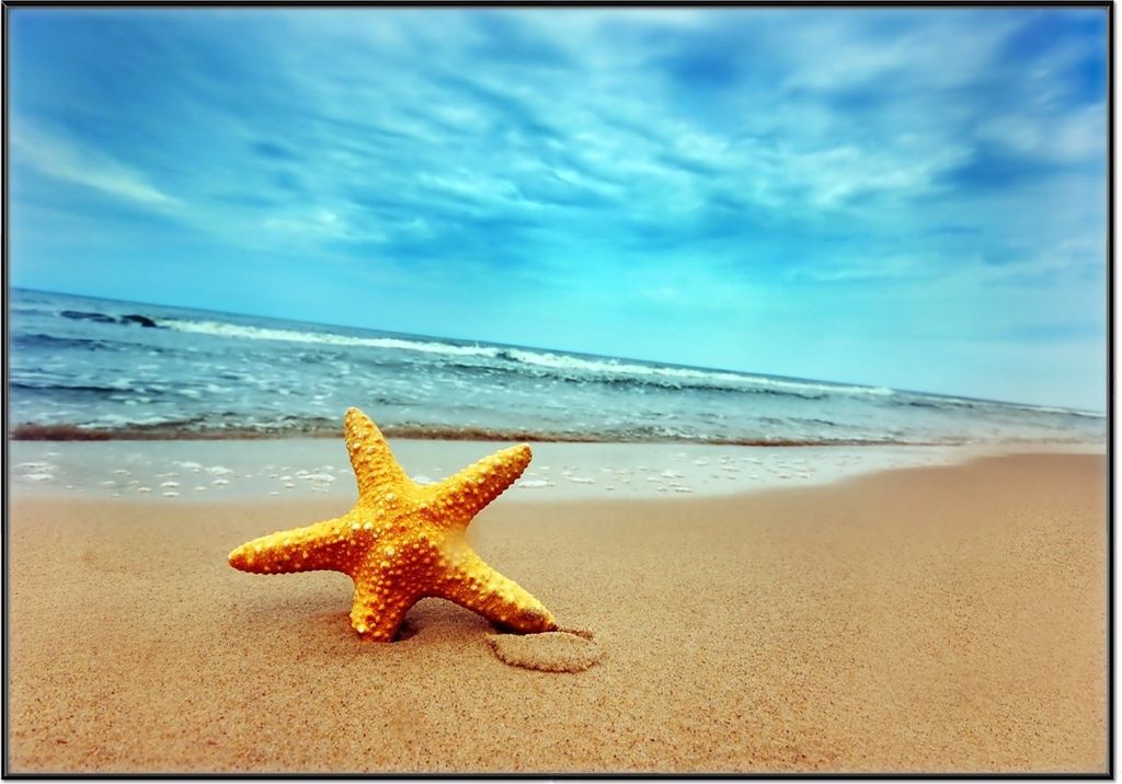 Wallario Wandbild Seestern am Strand am Meer, Größe: 70,30 x 100,30 cm, Poster mit schwarzem Aluminiumrahmen