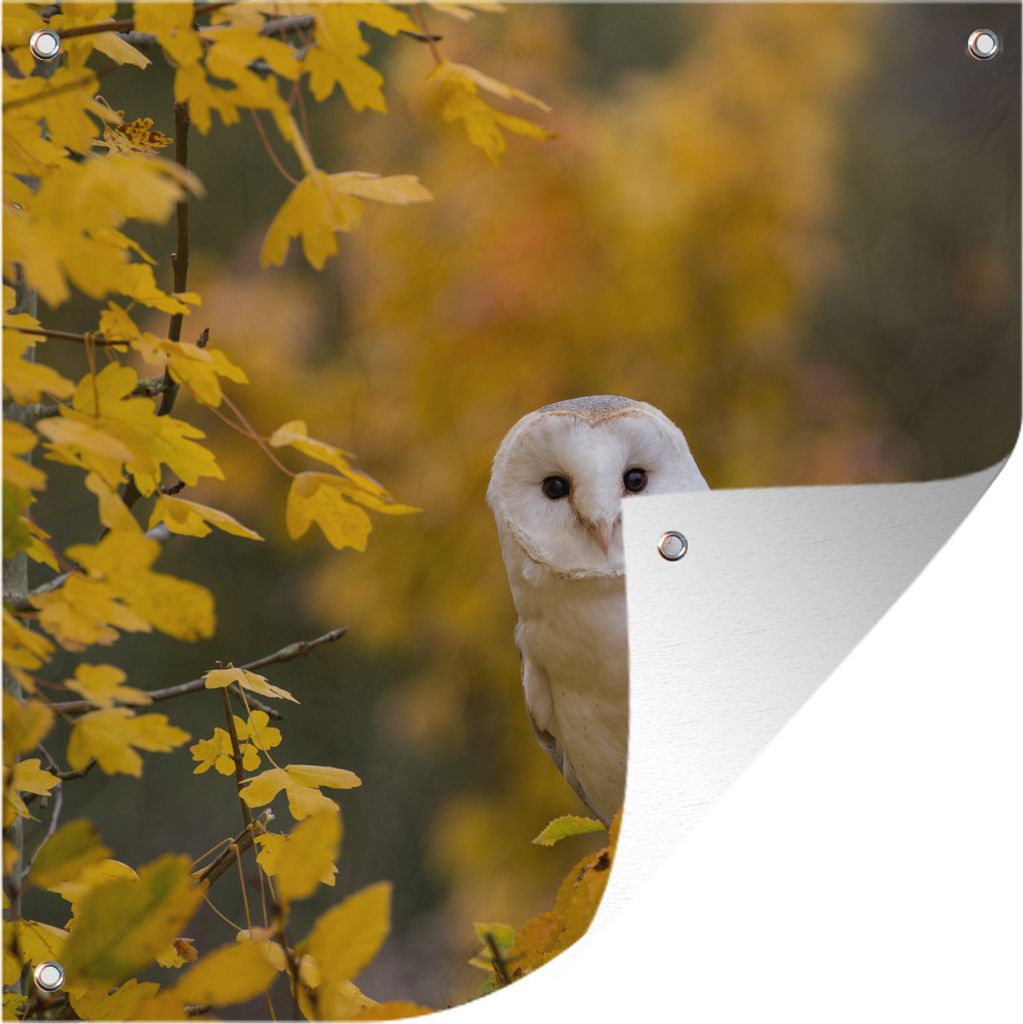 MuchoWow 50x50 cm Outdoor-Poster Gartendeko Sichtschutz Garten Poster für den Garten Vogel - Eule - Herbst