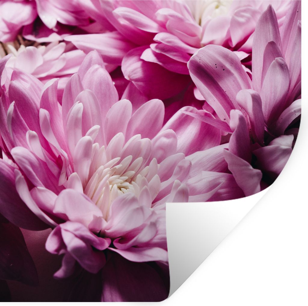 MuchoWow Wandtattoo Wandsticker Wandaufkleber Blumen - Rosa - Natur 30x30 cm Selbstklebend und Repositionierbar - Repositionierbar - Wasser abwei...