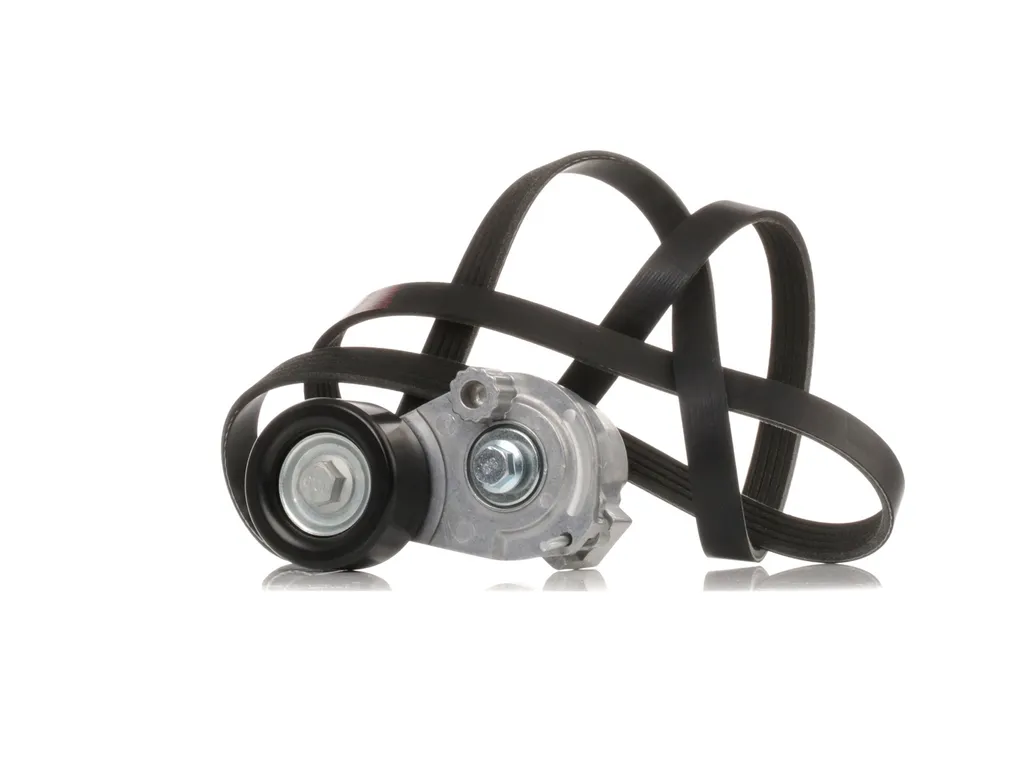 Supprimer Sifflement Courroie : Kit STARK pour Fiat Stilo et Croma