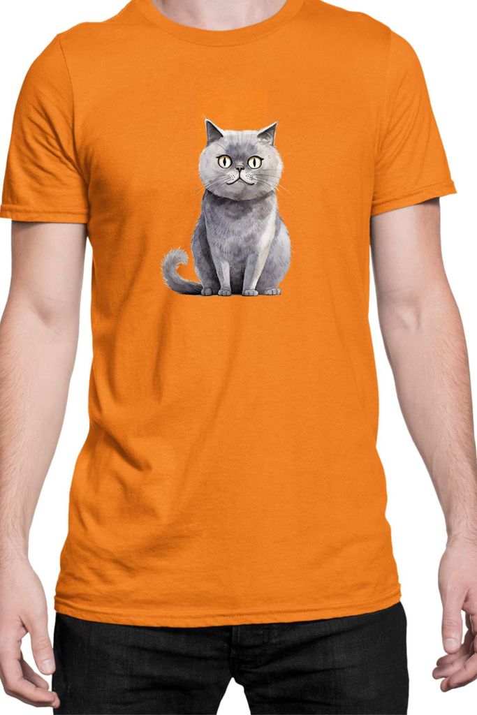 Herren T-Shirt Funny Cats Breeds Scottish Straight Cat, Man M / Orange