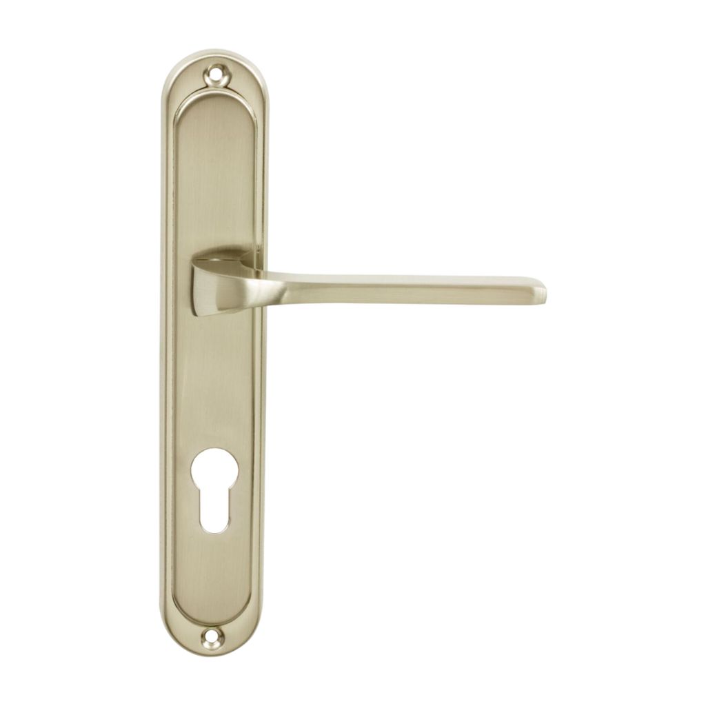 A product shot of a door handle set on a white background.