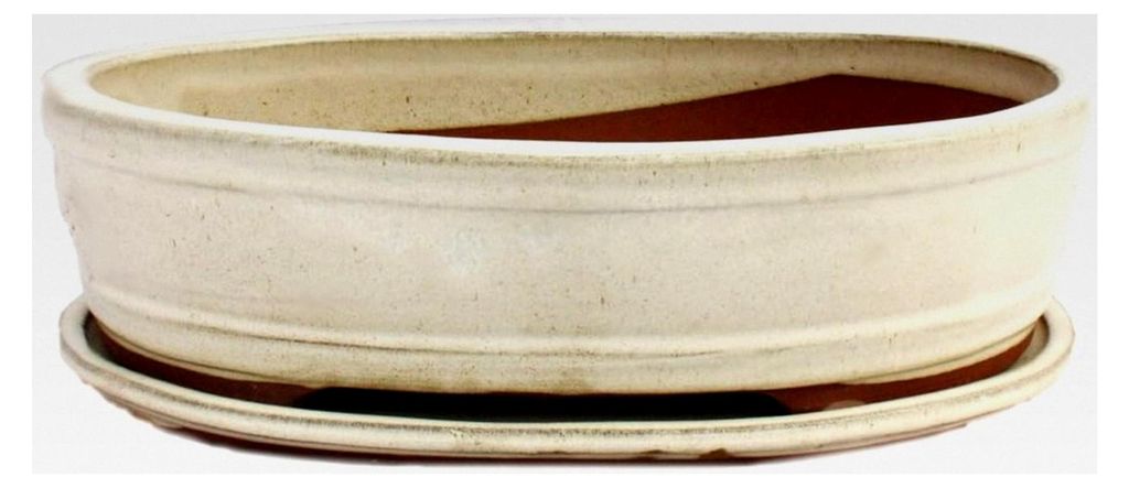 Bonsai-Schale mit Unterteller Größe 5 - Hellbeige - oval - L 31cm - B 24cm - H 7,5cm