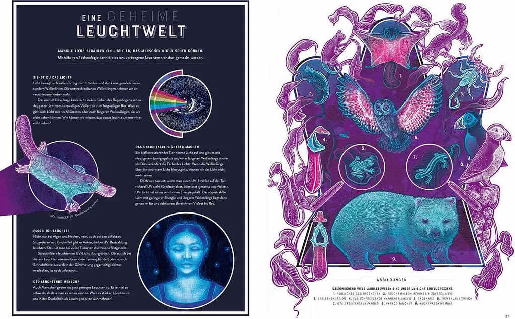 Glow : Le Livre Illustré sur le Phénomène de la Bioluminescence Naturelle - 2