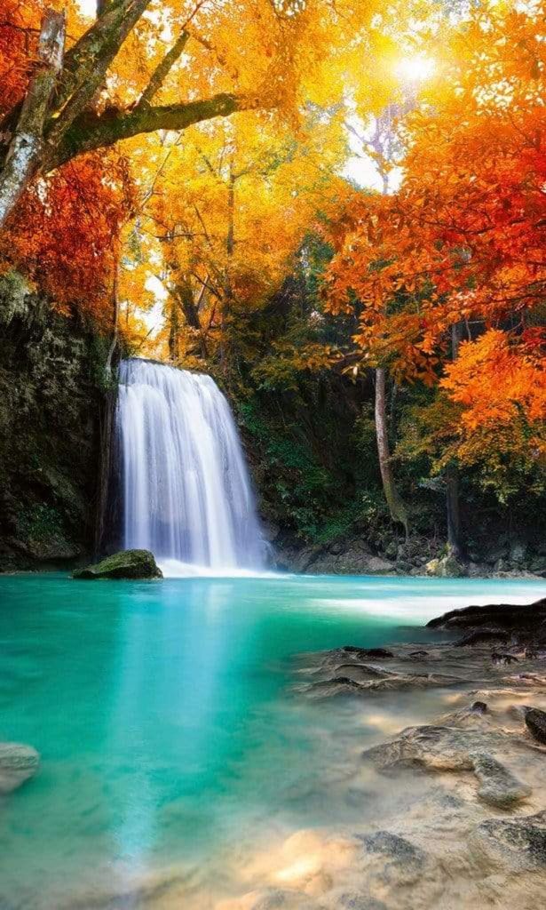 Fototapete - Deep Forest Waterfall 150x250cm - Vliestapete Produktbild 
