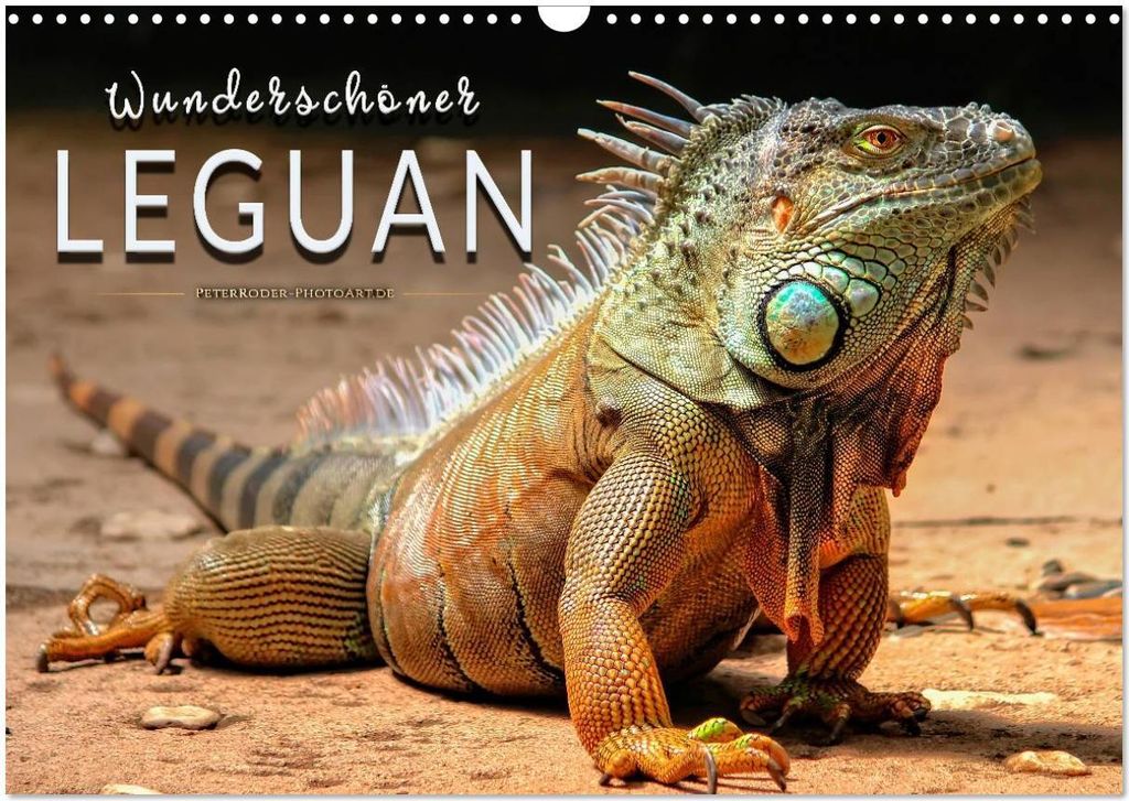 Wunderschöner Leguan (Wandkalender 2026 DIN A3 quer), CALVENDO Monatskalender
