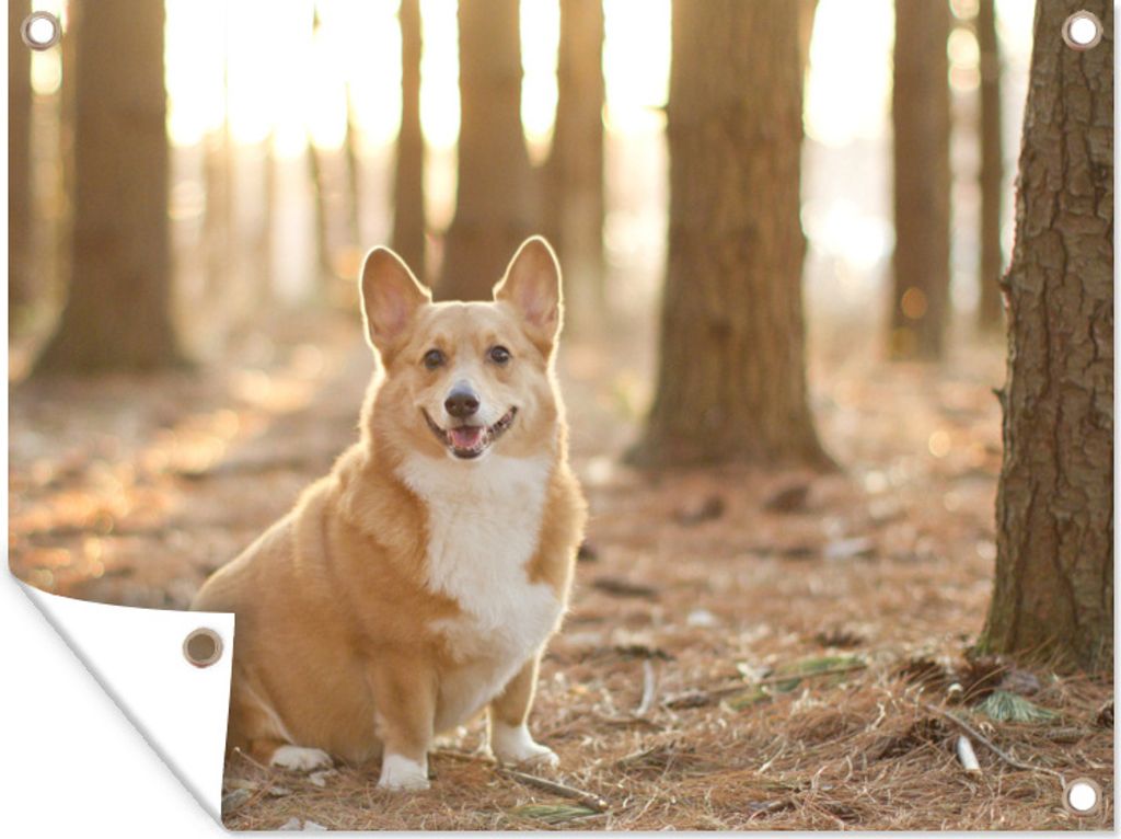 MuchoWow 40x30 cm Outdoor-Poster Gartendeko Sichtschutz Garten Poster für den Garten Corgi zwischen den Bäumen