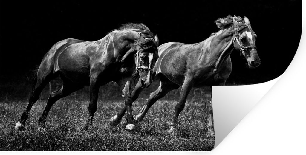 MuchoWow - Selbstklebend - Fototapeten