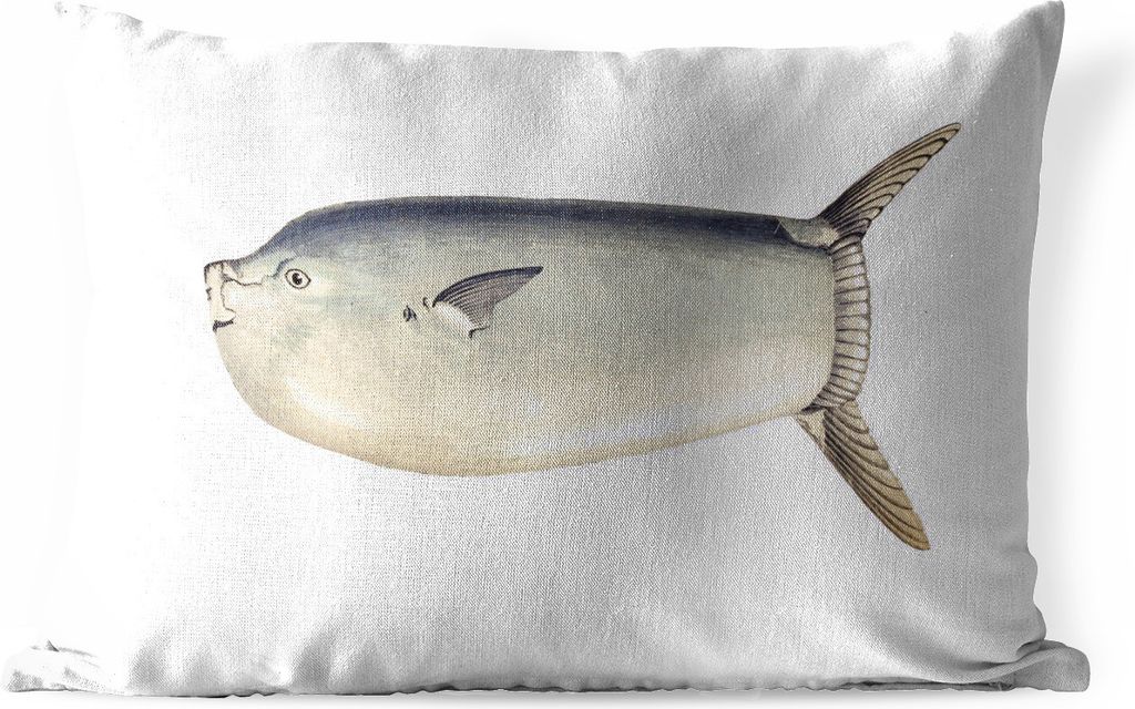 MuchoWow Outdoor Kissen - Fische - Realismus - Mondfisch - 60x40 cm - Wetterfest - Lounge Kissen - Zierkissen - Kissen für Innenräume