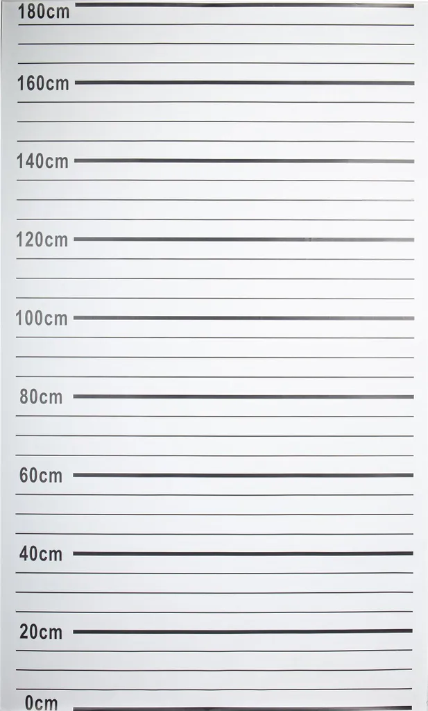 Passe-tête photo Police 180x110 cm accessoire photobooth thématique
