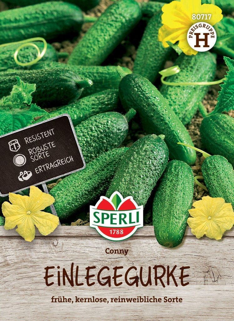 Einlegegurke Conny F1-Hybride (verb. Bimbostar) | Produktbild 