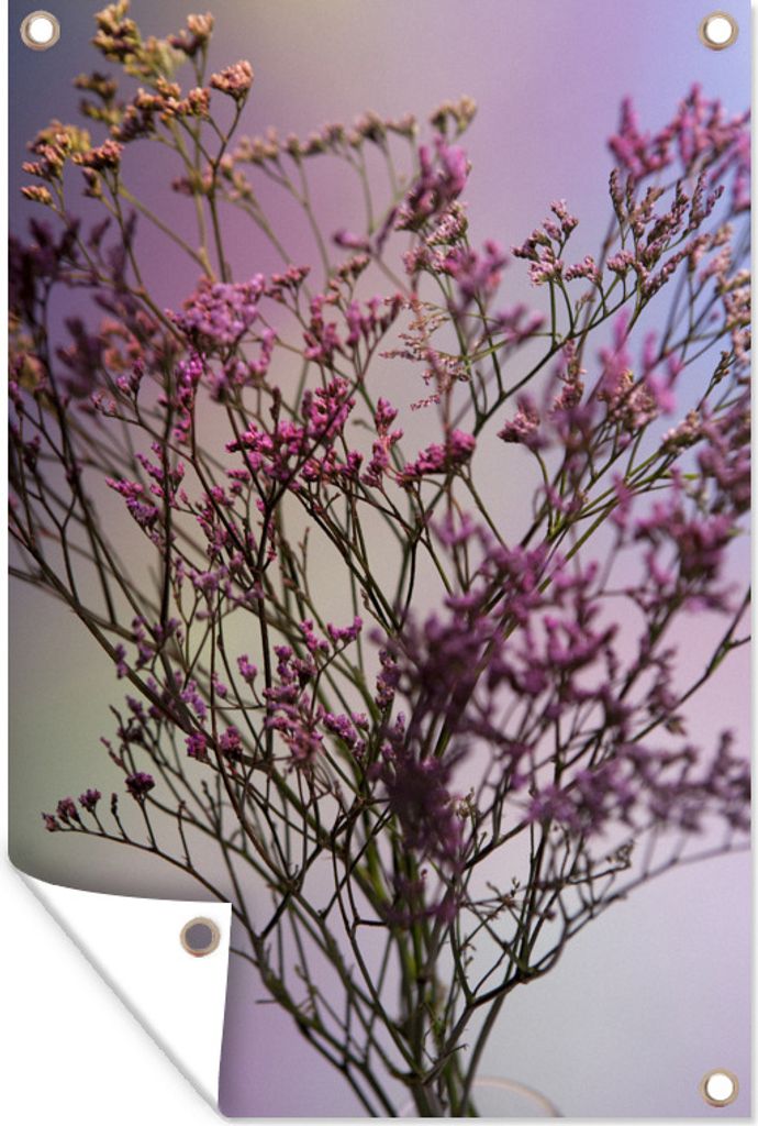 MuchoWow 80x120 cm Outdoor-Poster Gartendeko Sichtschutz Garten Poster für den Garten Ein Strauß rosa Statice-Blüten in der Natur