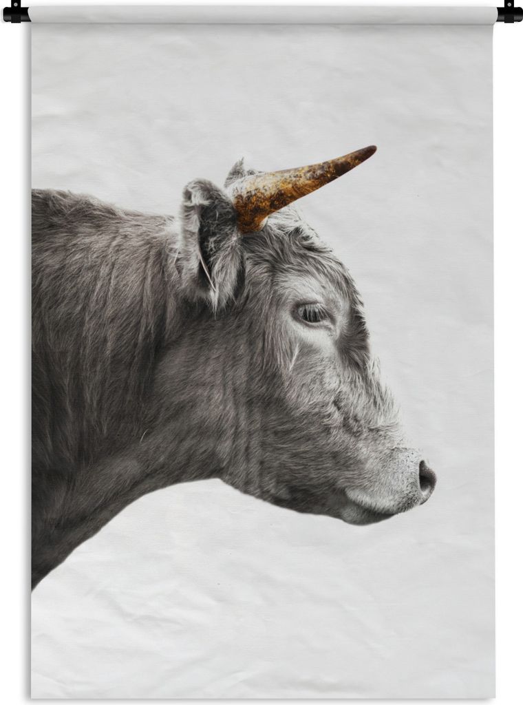 MuchoWow Wandteppich Wandbehang Schottischer Highlander - Tiere - Kuh 60x90 cm Tapisserie Dekoration Wandtuch - Foto-Teppich - Abwaschbar