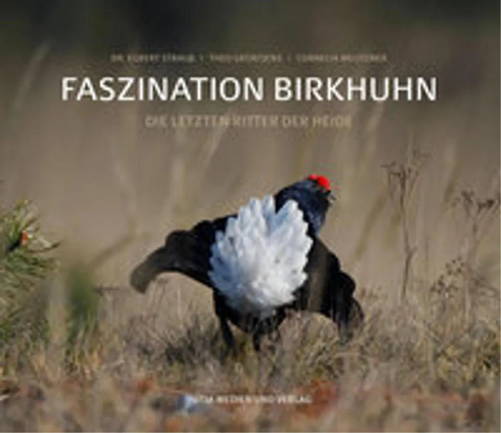 Faszination Birkhuhn : Album Photo de Faune Sauvage et Ornithologie