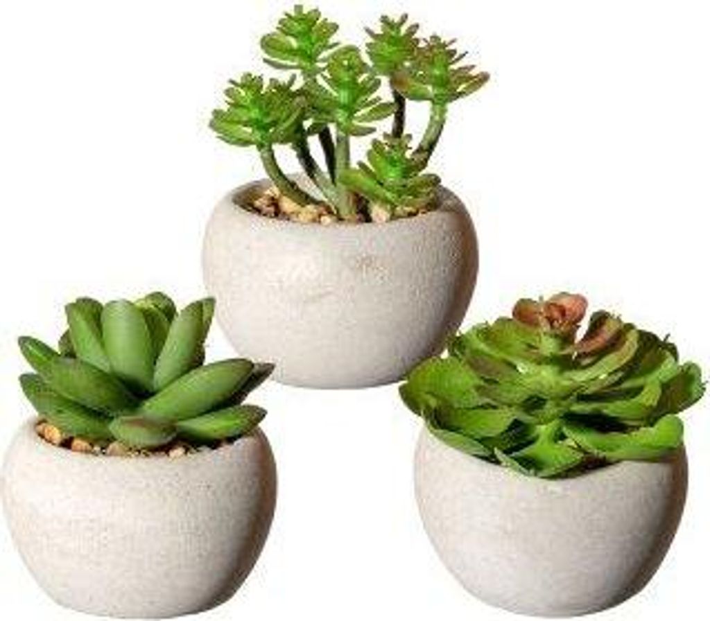 artplants.de Deko Sukkulenten Gesteck PLOKSA im Zementtopf, 3 Stück, grün, 8cm - Künstliches Gesteck