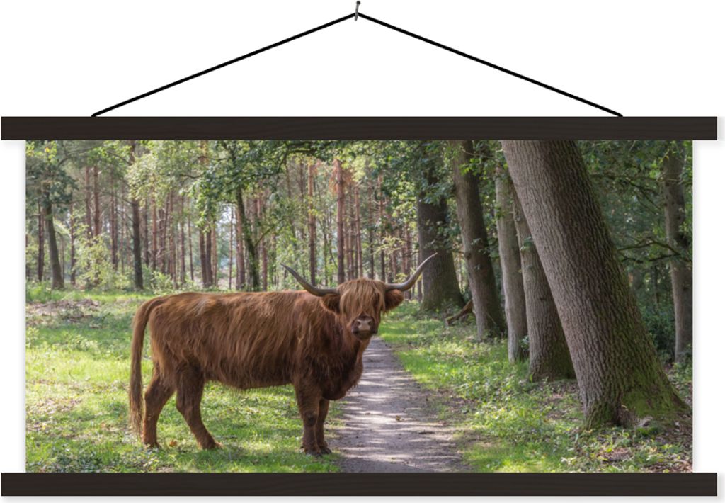 MuchoWow Textilposter Schottisches Hochlandrind - Kröte - Baum 150x75 cm mit schwarzem Rahmen - Posterleiste