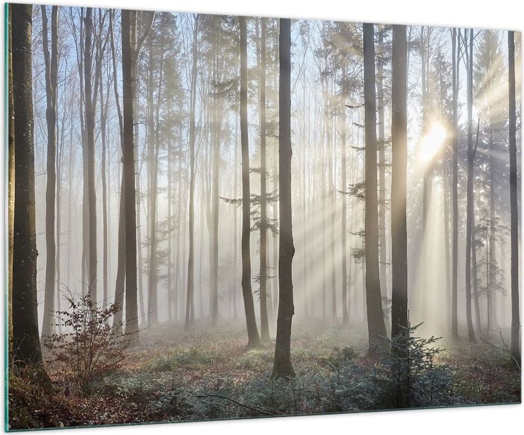 Bilder auf glas - Wald Baum Natur - 100x70cm - Glasbilder - Wandbilder - Kunstdruck - zum Aufhängen bereit - Wanddekoration aus Glas - Glas Bilder...