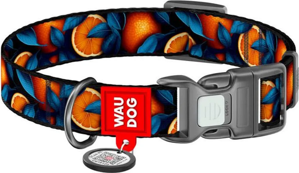 Collier pour Chien en Nylon Orange Taille L avec Médaille Connectée