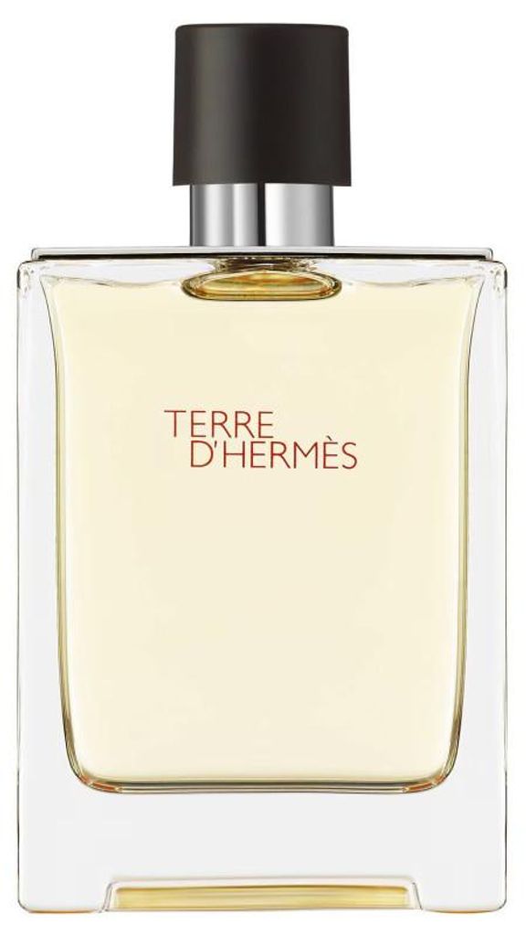 Hermes Terre D'Hermes Eau De Toilette Spray 100ml Produktbild 