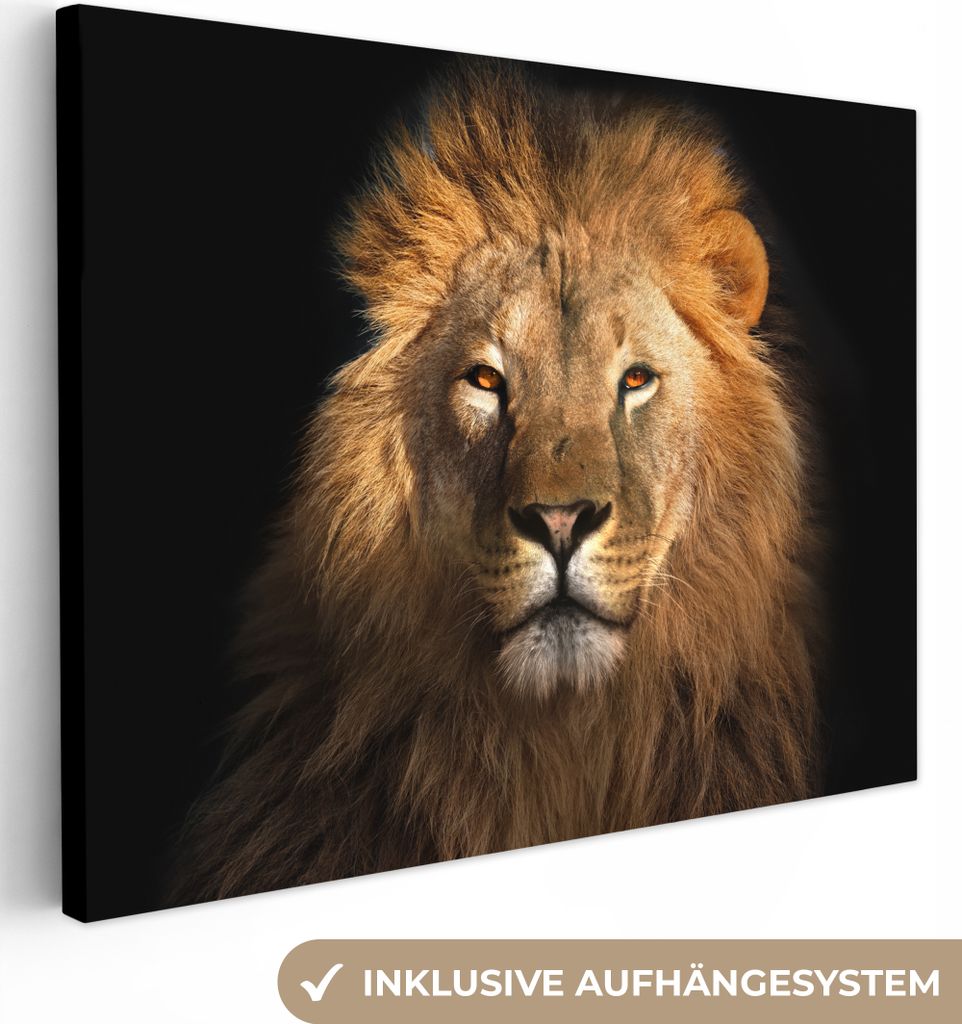 MuchoWow - Leinwandbilder - Löwe - Tiere - Schwarz - Hell - Braun - Porträt, Wandbild, Wanddeko Bilder Wohnzimmer, 80x60 cm