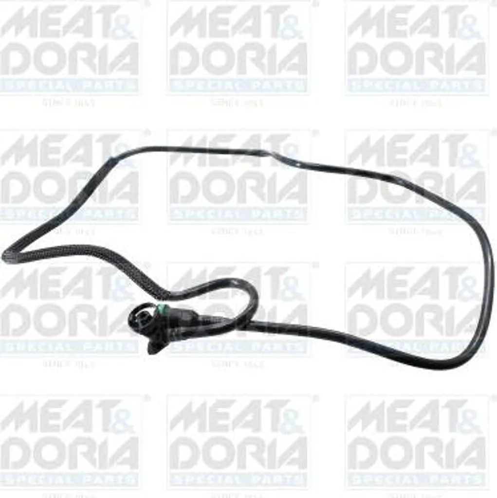 Remplacement durite carburant 8200139173 pour Renault Kangoo et Clio