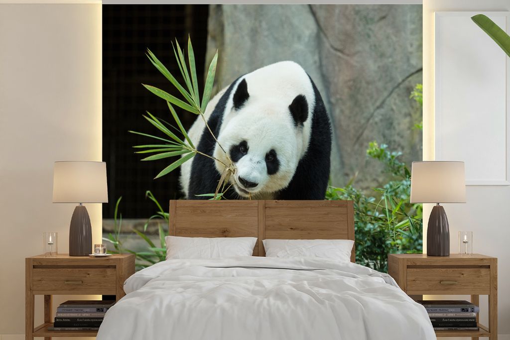 MuchoWow Fototapete für Wohnzimmer oder Schlafzimmer Wandtapete Vinyl Motivtapete Panda - Baumstamm - Höhle - 240x240 cm - Schlafzimmer-Tapete
