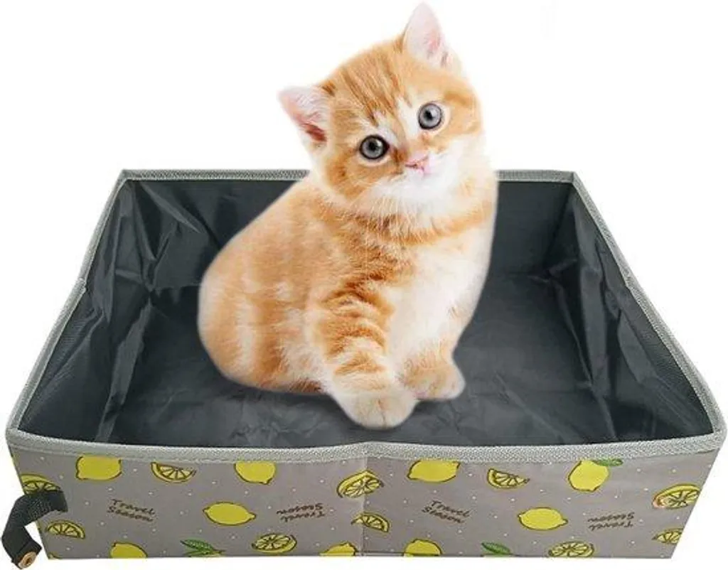 Valise chat XL imperméable : fini le stress du transport sous la pluie