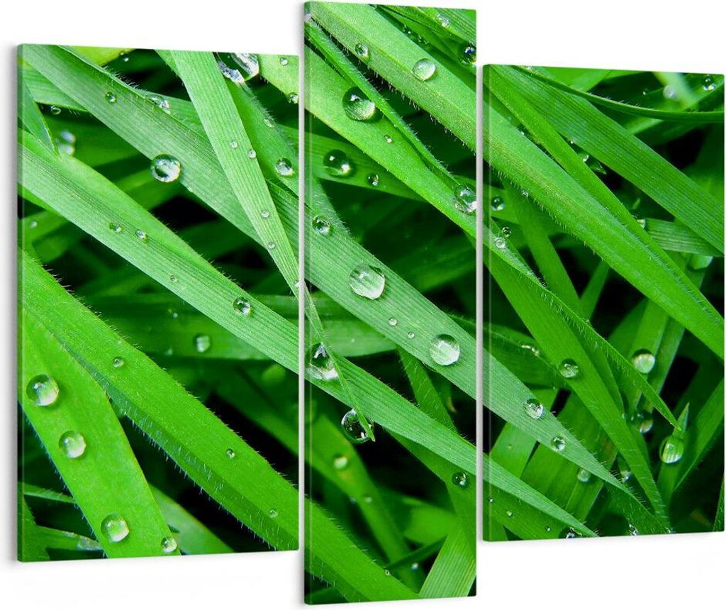 Bild auf Leinwand - Leinwandbild - Natur Gras Wasser Tropfen - 95x80cm - Wand Bild - Wanddeko - Leinwanddruck - Bilder - Kunstdruck - Wanddekoratio...