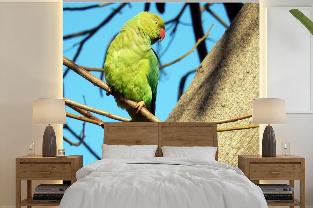 MuchoWow Fototapete für Wohnzimmer oder Schlafzimmer Wandtapete Vinyl Motivtapete Halsbandsittich auf einem Ast unter klarem Himmel - 300x300 cm...
