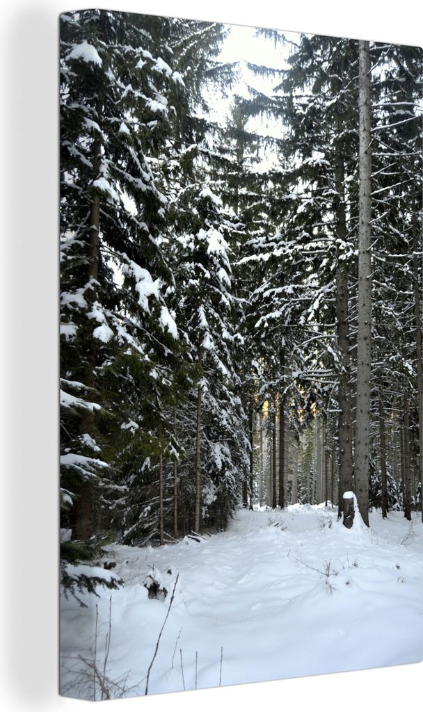 OneMillionCanvasses - Leinwandbilder - 90x140 cm, Die Winterbäume im Wald bei Wien in Österreich, Wandbilder Kunstdruck Wanddekoration - Wandsc...