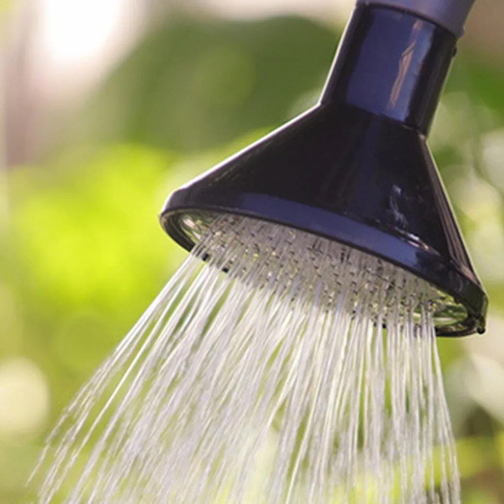 Arrosoir à Bec Long et Pomme de Douche, Capacité 5L, Couleur Grise