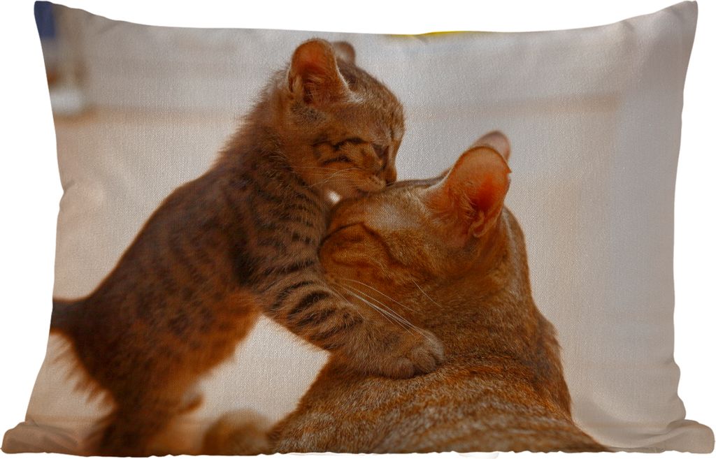 MuchoWow Outdoor Kissen - Katze - Kätzchen - Schwarz - 60x40 cm - Wetterfest - Lounge Kissen - Zierkissen - Kissen für Innenräume