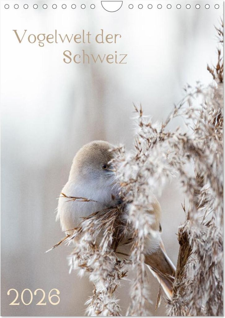 Vogelwelt der Schweiz (Wandkalender 2026 DIN A4 hoch), CALVENDO Monatskalender