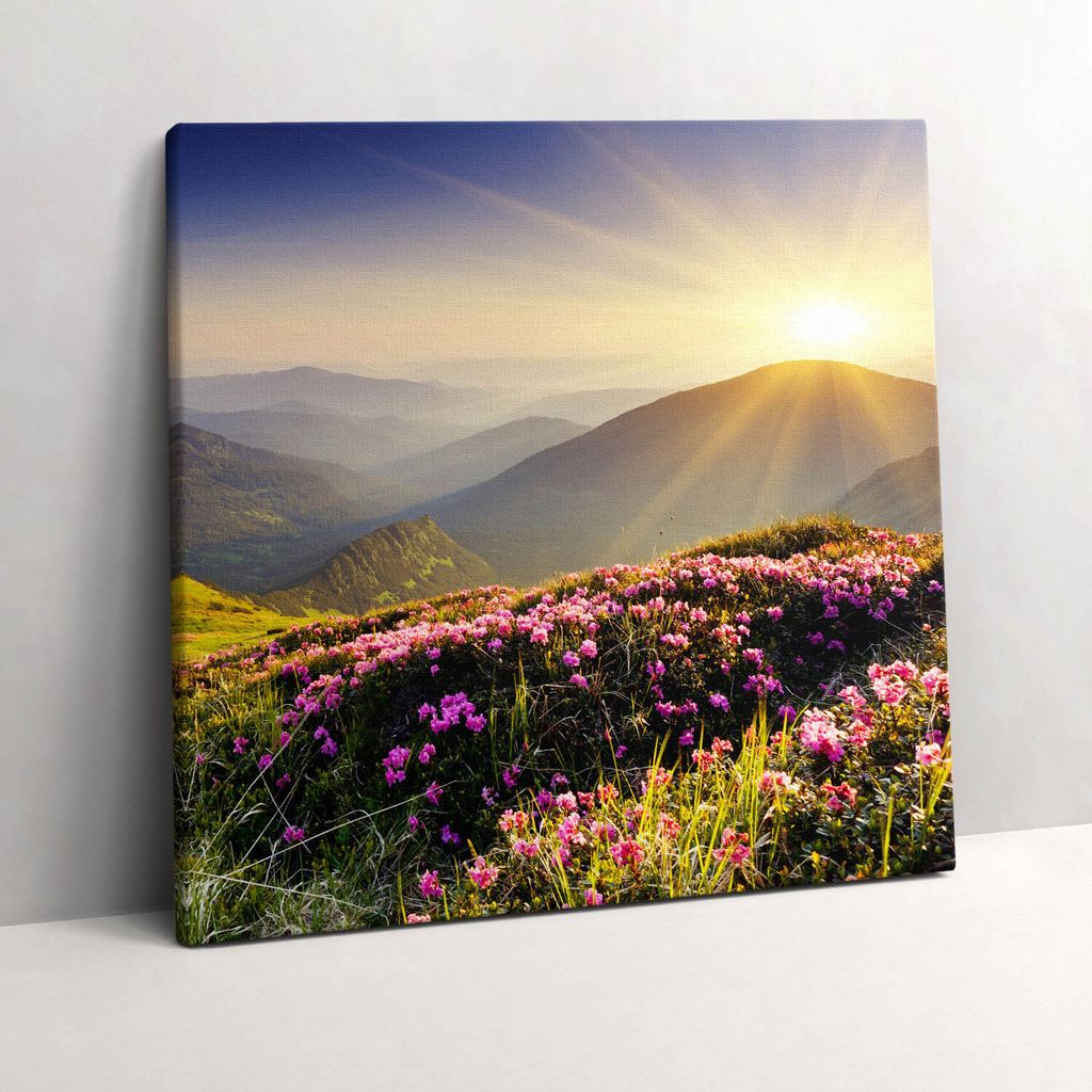 Mountains and flower meadow – Leinwandbild Wandbild – 60x60 cm – Leinwandbilder – Wandbilder – Schlafzimmer – Flur