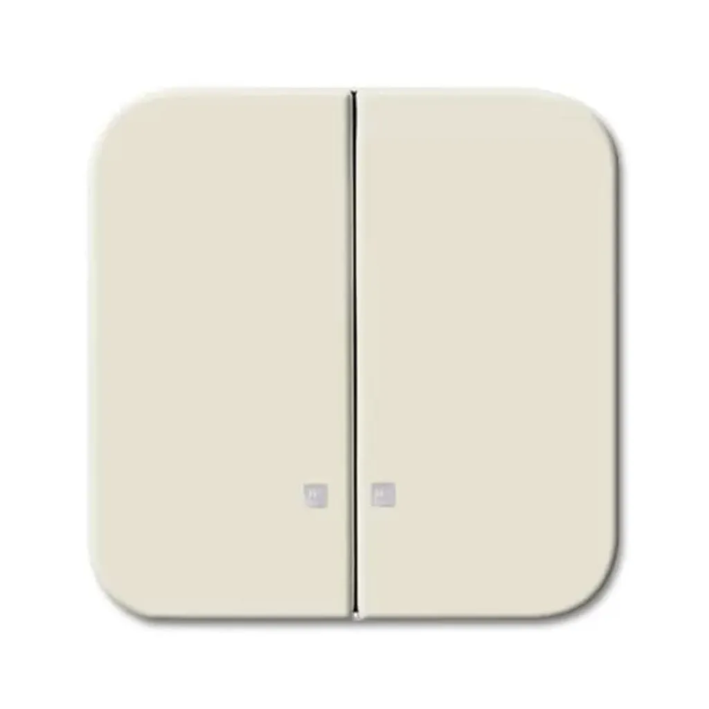 Interrupteur à Double Touche Busch-Jaeger CWS GLZ Lumineux pour Mur