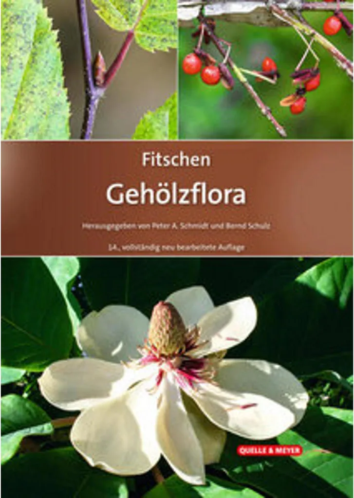 Guide Fitschen Gehölzflora avec clés de détermination illustrées
