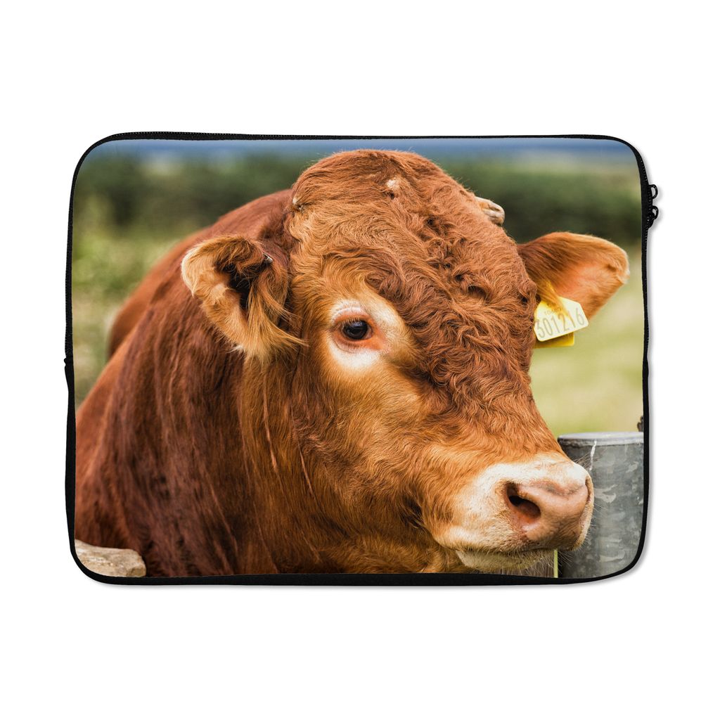 MuchoWow Laptop Hülle 15 Zoll Schottischer Highlander - Berg - Zaun Laptoptasche - Laptoptasche - Sleeve - Rundum-Schutz