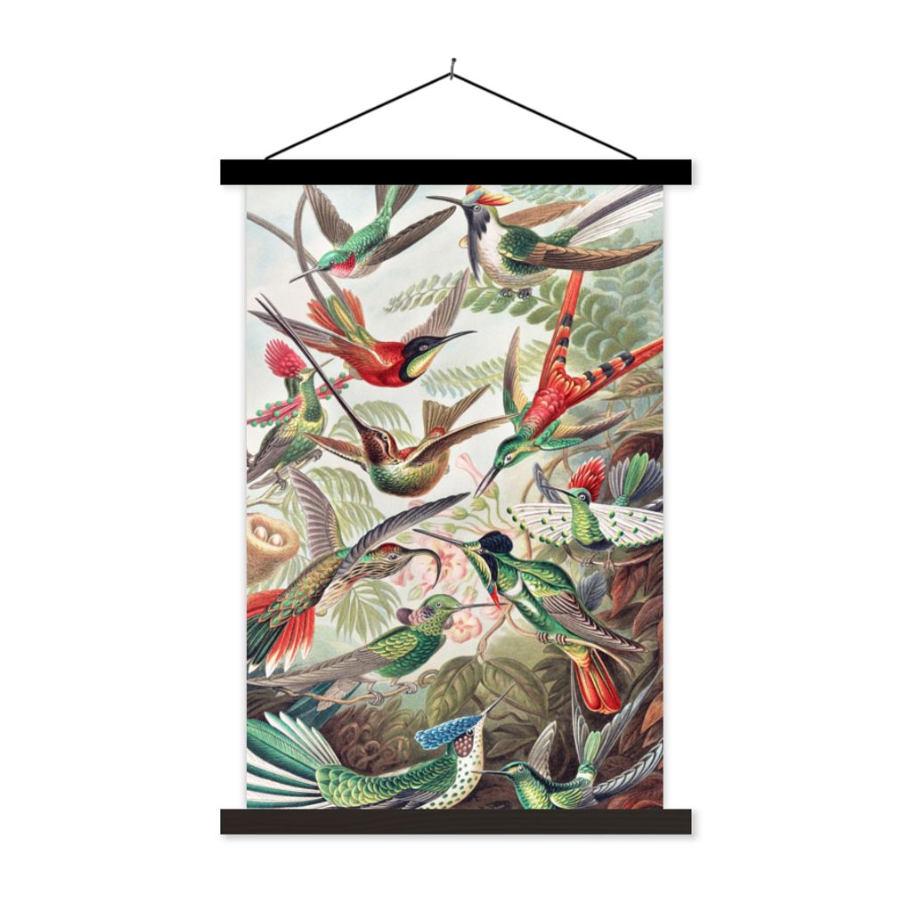 MuchoWow Textilposter Kolibri - Vintage - Ernst Haeckel - Vogel - Kunst - Natur 40x60 cm mit schwarzem Rahmen - Wanddekorationen