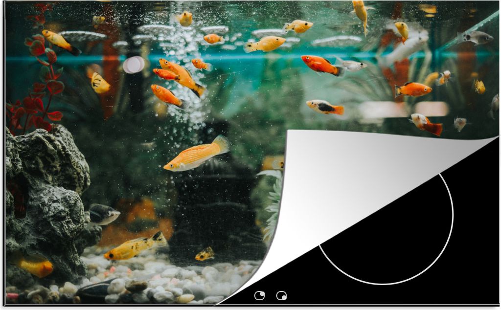 KitchenYeah Herdabdeckplatte Kleine Fische in einem Aquarium , 81x52cm, Küche Deko, Glaskeramikkochfeld Herdabdeckung, Abdeckplatte fùr Kochfeld