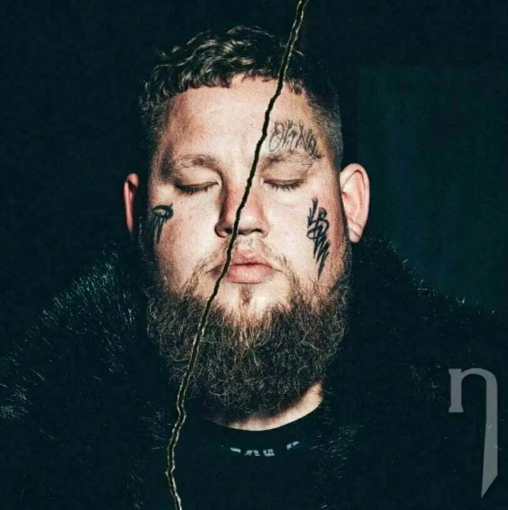 Rag'n'Bone Man Life By Misadventure 2 LP Vinyle Haute Qualité Audio