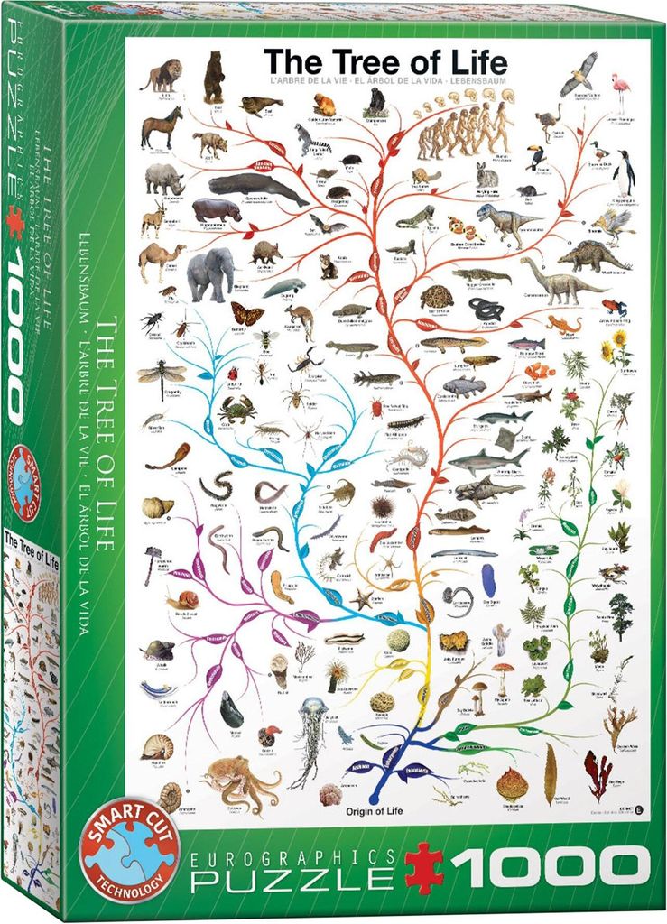Eurographics Puzzle Der Lebensbaum, Stammbaum, Artenlehre, Immagine del prodotto 