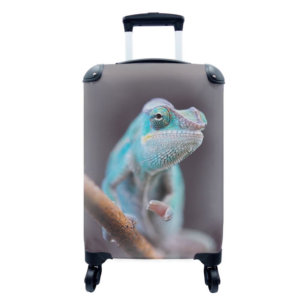 MuchoWow Koffer Handgepäck Trolley Rollkoffer Kleine Reisekoffer mit 4 Rollen - Blaues Chamäleon läuft auf Ast - Cabin Size < 55x40x23 cm & 55...