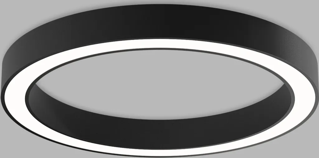Éclairage de salon LED puissant 60cm plafonnier blanc 2CCT réglable