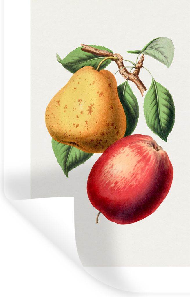 MuchoWow Wandtattoo Wandsticker Wandaufkleber Apfel - Birne - Lebensmittel 60x90 cm Selbstklebend und Repositionierbar - Sticker - Dekorfolie