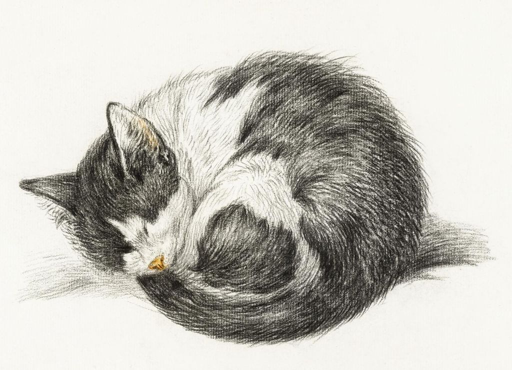 Plakat 18x13cm Schlafende Katze, Jean Bernard Vintage für das Wohnzimmer