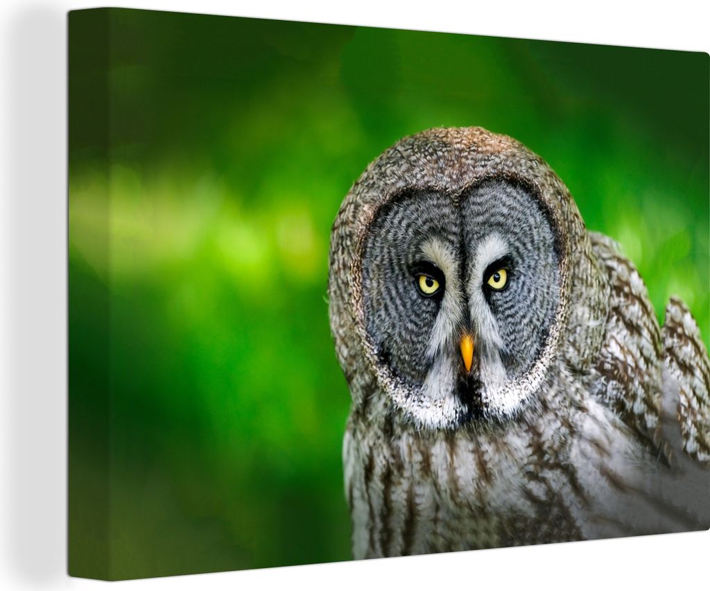 OneMillionCanvasses - Leinwandbilder - 140x90 cm, Vogel - Eule - Tiere - Braun - Porträt, Wandbilder Kunstdruck Wanddekoration - Foto auf Leinwa...