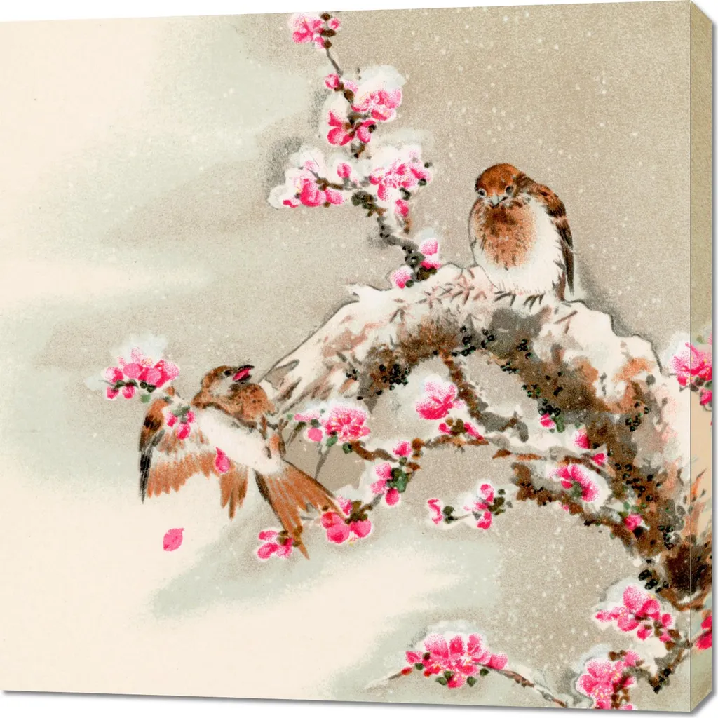Tableau carré 90x90 cm Oiseau au sommet d'un arbre par G.A. Audsley